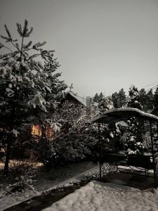 Фото Москва, Московская обл., Дмитровский муниципальный округ, СНТ Ромашка, 2